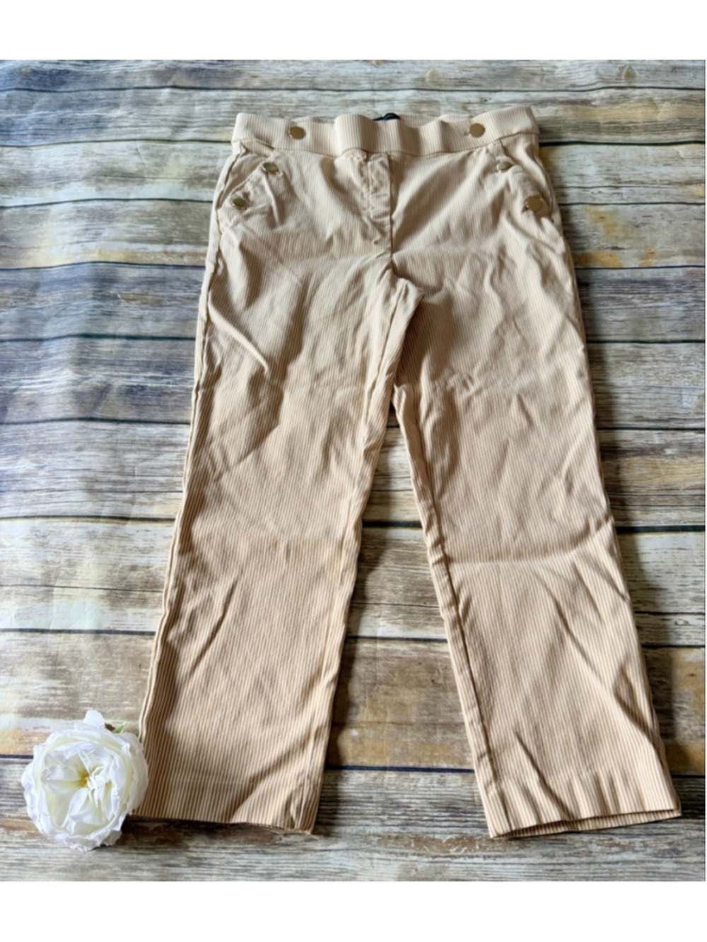 Packable Crop Dress Pant-Large